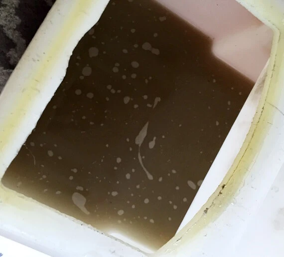 Przykład brudnej wody po praniu dywanu.